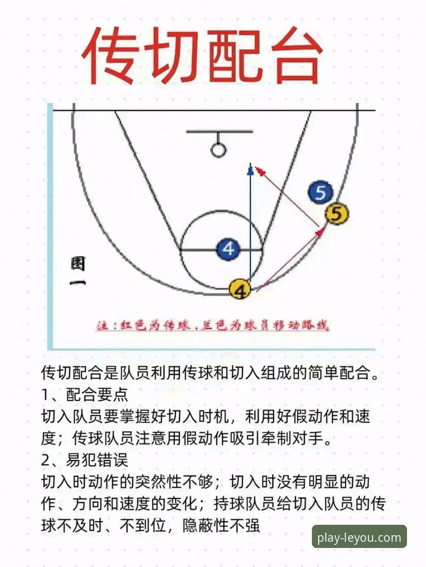 中国男篮91-81胜澳大利亚：杭州热身赛战术深度分析与乐游体育平台观赛全面解析